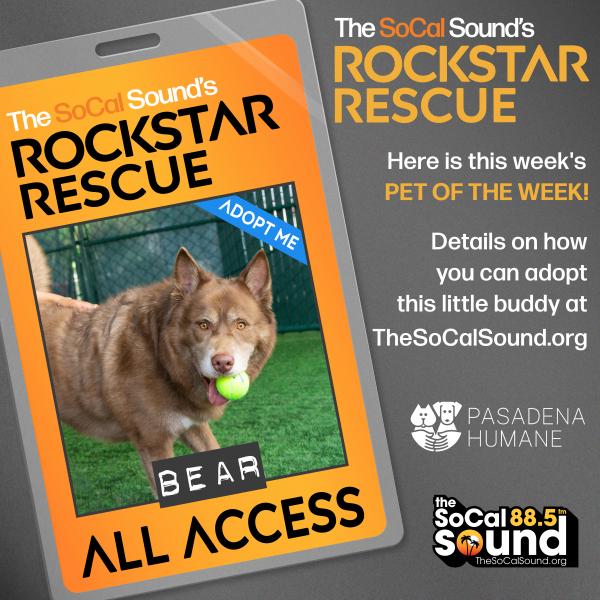 KCSN RockstarRescue PotW 082625 2 1080x1082