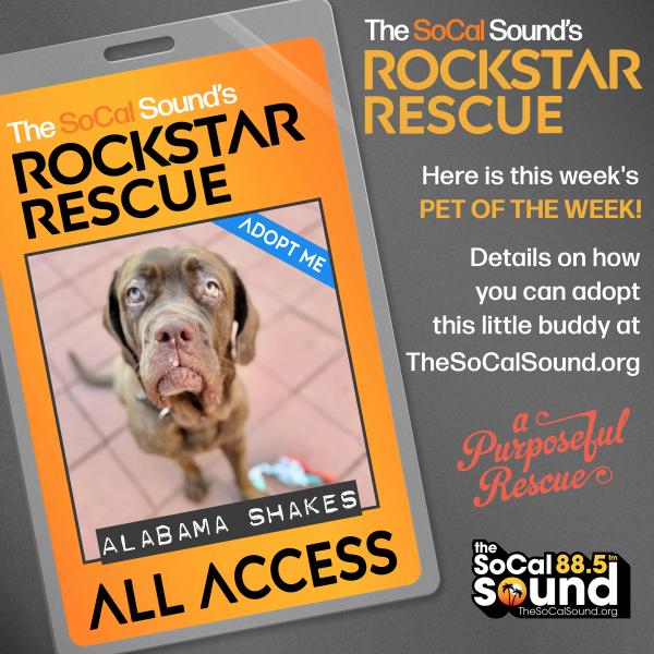 KCSN RockstarRescue PotW 090325 2 1080x1081