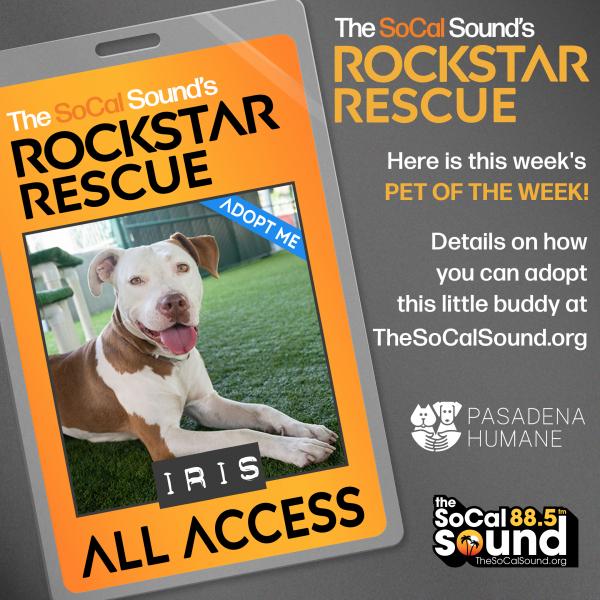 KCSN RockstarRescue PotW IRIS 081225 2 1080x1081