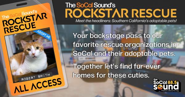 KCSN RockstarRescue PotW 010725 FACEBOOK 1200x631