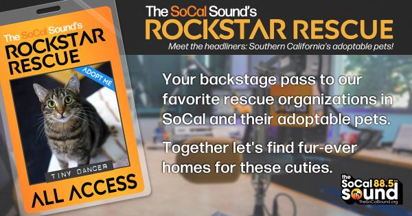 KCSN RockstarRescue PotW 040126 CreateOutlines FACEBOOK 1200x630