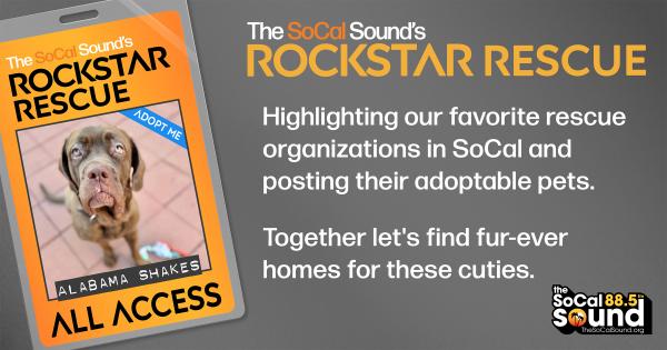 KCSN RockstarRescue PotW 090325 1 1200x630