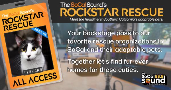 KCSN RockstarRescue PotW 100125 FACEBOOK 1200x632