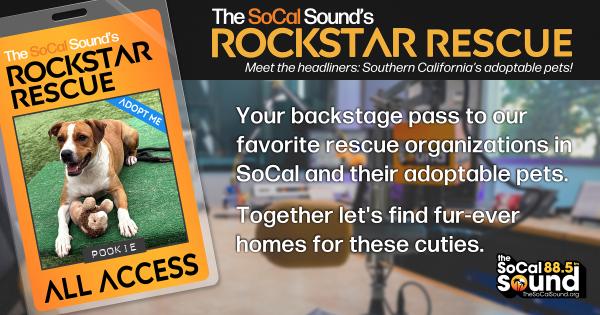 KCSN RockstarRescue PotW 112525 CreateOutlines FACEBOOK 1200x631